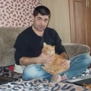  ,   , 51 ,   