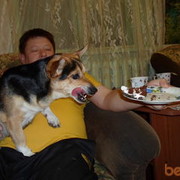  ,   , 58 ,   