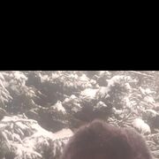 ���������� ������, ���� ������� ����, 34 ����, ������������ ��� ������, ����� � ���������