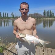 ���������� ���������, ���� ������� �������, 36 ���, ������������ ��� ������, ����� � ���������, c�������� ���������, ���������