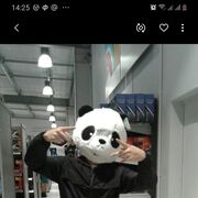 ,   Artem, 29 ,   ,   , c 