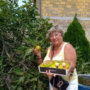 ���������� ������������, ���� ������� ����, 57 ���, ������������ ��� ������, ����� � ���������, c�������� ���������, ���������