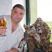  ,   , 54 ,   ,   , c 