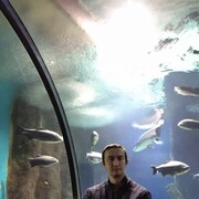 ���������� �����, ���� ������� �����, 37 ���, ������������ ��� ������, ����� � ���������, c�������� ���������