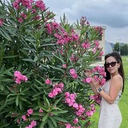   ,  , 28