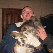  ,   Dima, 41 ,   ,   , c 