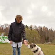 ���������� ���������, ���� ����� ����, 23 ����, ������������ ��� ������, ����� � ���������, c�������� ���������, ���������