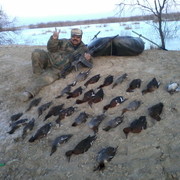 ���������� ���������, ���� ������� �����, 63 ����, ������������ 