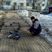 ���������� ������, ���� ������� ����, 49 ���, ������������ ��� ������, ����� � ���������