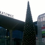  Mikolow,  kolusya, 45