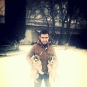 ���������� �������, ���� ������� ���, 36 ���, ������������ ��� ����� � ���������, c�������� ���������, ���������