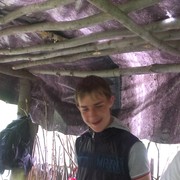  ,   , 32 ,   