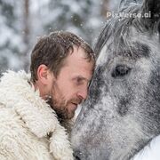 ���������� ��������, ���� ������� ��������, 41 ���, ������������ ��� c�������� ���������