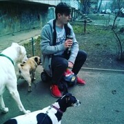 ���������� ����, ���� ������� ������, 29 ���, ������������ ��� ������, ����� � ���������