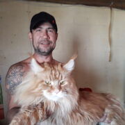 ���������� ������, ���� ������� �������, 43 ����, ������������ ��� ������, ����� � ���������, c�������� ���������, ���������