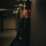 ���������� ������, ���� ������� ��������, 23 ����, ������������ ��� ������, ����� � ���������