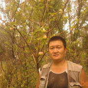 ���������� ���������, ���� ������� ����, 50 ���, ������������ ��� ������