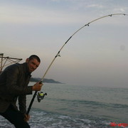  ,   , 36 ,   ,   , c 