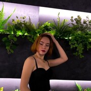  -,   , 27 ,   