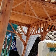  ,   , 29 ,   ,   , 