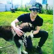 ���������� ����, ���� ������� ������, 28 ���, ������������ ��� ������, ����� � ���������, c�������� ���������, ���������