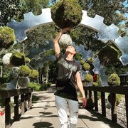 ���������� �������, ���� ������� ��������, 32 ����, ������������ ��� c�������� ���������, ���������