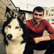 ���������� �������, ���� ������� Victor, 36 ���, ������������ ��� ������, ����� � ���������