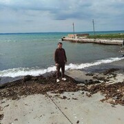 ���������� �����������, ���� ������� �����, 37 ���, ������������ ��� ������, ����� � ���������