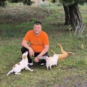  ,   , 48 ,     , c , 