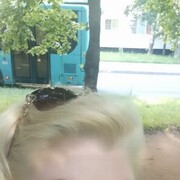 ���������� �����-���������, ���� ������� �������, 48 ���, ������������ ��� c�������� ���������, ���������