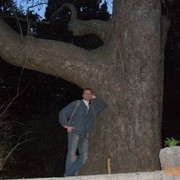 ���������� ������, ���� ������� ��������, 55 ���, ������������ ��� ������