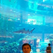 ���������� ������, ���� ������� ������, 66 ���, ������������ 