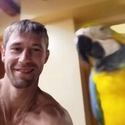 ���������� ������, ���� ������� ����, 36 ���, ������������ ��� ������, ����� � ���������