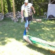 ���������� ������������, ���� ������� ������, 46 ���, ������������ ��� ������