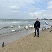 ���������� ��������, ���� ������� �������, 38 ���, ������������ ��� ������, ����� � ���������, c�������� ���������, ���������