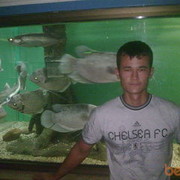  ,   Sohib, 36 ,   ,   , c , 