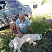 ���������� ���������, ���� ������� ������, 41 ���, ������������ ��� ����� � ���������, c�������� ���������