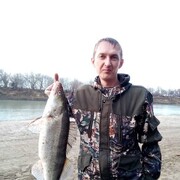 ���������� ���������, ���� ������� �������, 42 ����, ������������ ��� ������, ����� � ���������