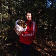 ���������� ����, ���� ������� �������, 40 ���, ������������ ��� ����� � ���������, c�������� ���������