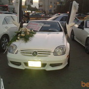 ���������� ����, ���� ������� Emil, 37 ���, ������������ ��� ������