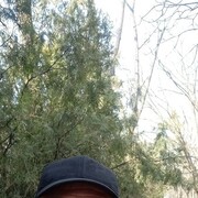  ,   , 53 ,   ,   