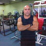  Pleven,    , 56 ,   ,   , c , 