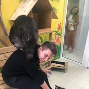 ���������� ������, ���� ������� ������, 32 ����, ������������ ��� c�������� ���������