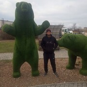 ���������� �����������, ���� ������� ������, 33 ����, ������������ ��� ������, ����� � ���������