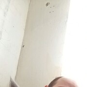 ���������� �����������, ���� ������� ������, 43 ����, ������������ ��� c�������� ���������