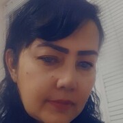  Alba Iulia,   , 51 ,   ,   