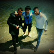  ,   Bosss, 31 ,   ,   , c 