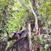 ���������� �����-���������, ���� ������� ˸��, 31 ���, ������������ ��� ������, ����� � ���������, c�������� ���������, ���������