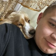 ���������� ����, ���� ������� ������, 26 ���, ������������ ��� ����� � ���������, c�������� ���������