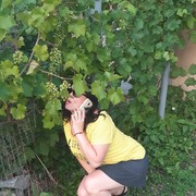  ,   , 47 ,  